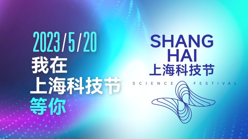 企业数字化转型的关键一步：成功咨询项目案例分析**