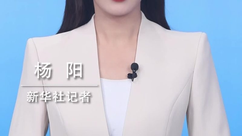 轻量级ELT工具：数据集成的新选择